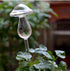 Self Watering Bulbs (Set of 2)